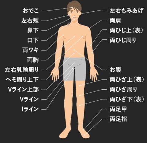 全身