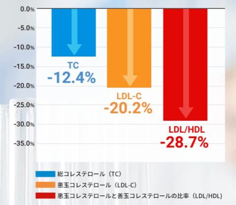 研究レビュー