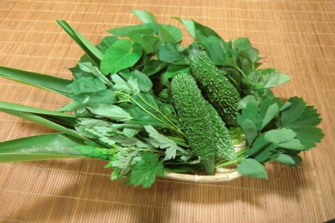 沖縄県産野菜