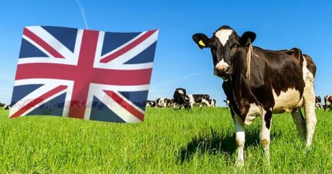イギリス グラスフェッドミルク