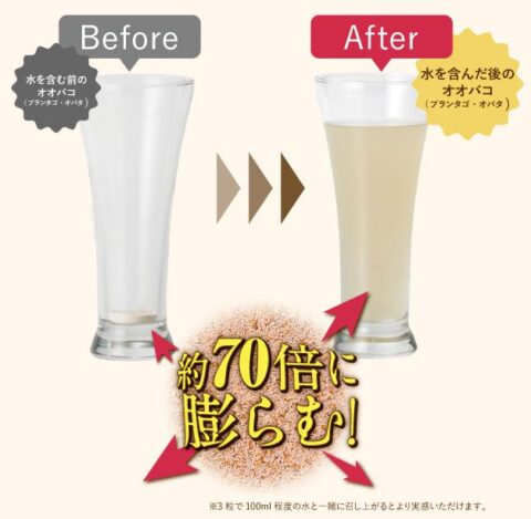 オオバコ プランタゴ・オバタ