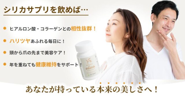 LU-NAO ボタニカルシリカサプリメント 販売店 価格 最安値