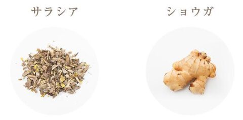サラシア ジンジャー しょうが