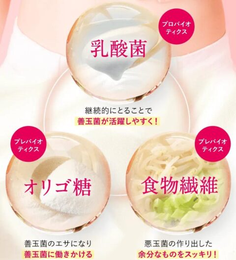 腸活 シンバイオテックス