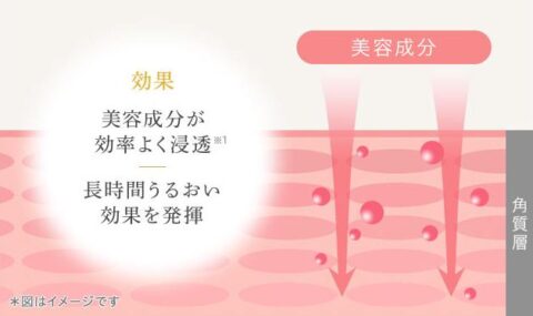高浸透リンクルホワイト処方