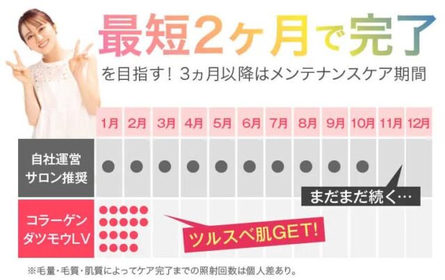 LEDラバー コラーゲン脱毛LV 使い方 効果