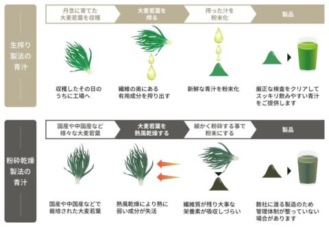 九州産大麦若葉 非加熱生搾り製法