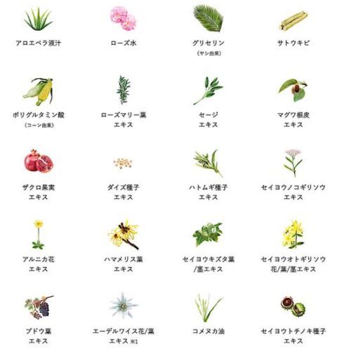 セラム
