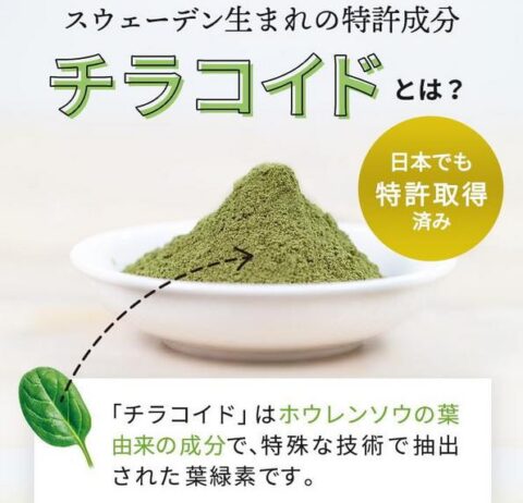 チラコイド
