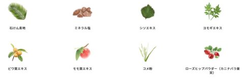 洗顔パウダー