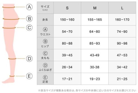 サイズ