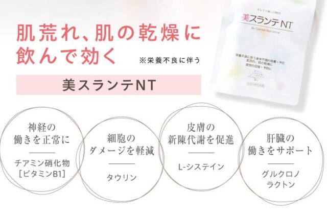 美スランテNT 特徴