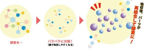 エンザミン