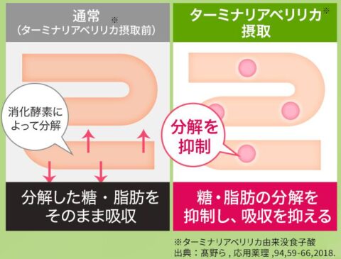 機能性表示食品