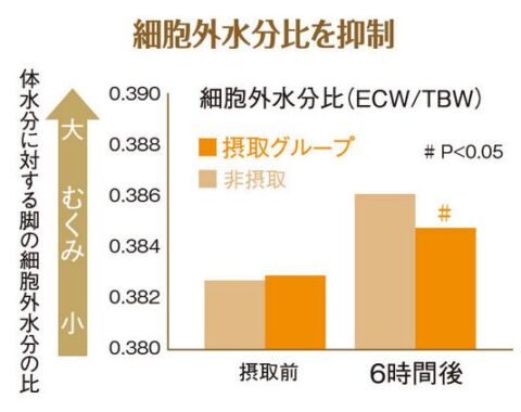 研究レビュー