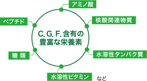 C.G.F.