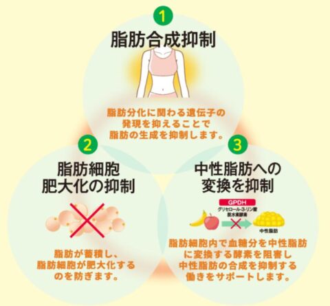 エラグ酸