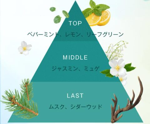 フレッシュグリーン