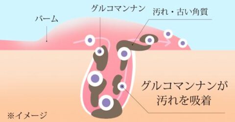 グルコマンナン