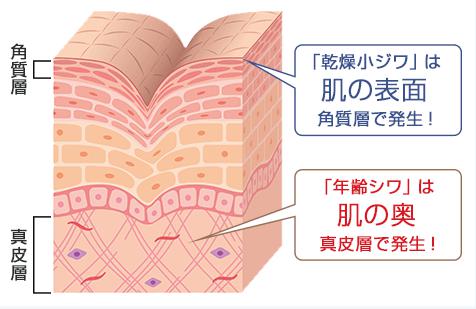 ナイアシンアミド