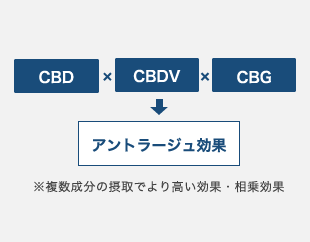 ブロードスペクトラムCBD