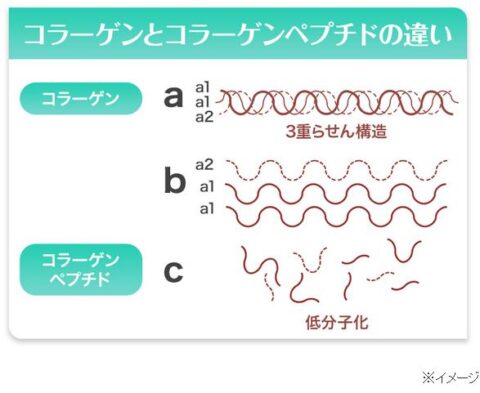 エネルギッシュコラーゲン