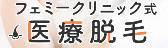 フェミークリニック 医療脱毛 特徴