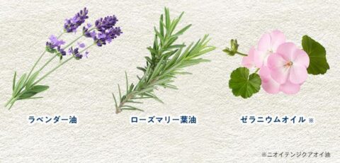 天然精油