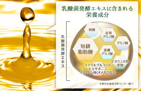 乳酸菌発酵エキス