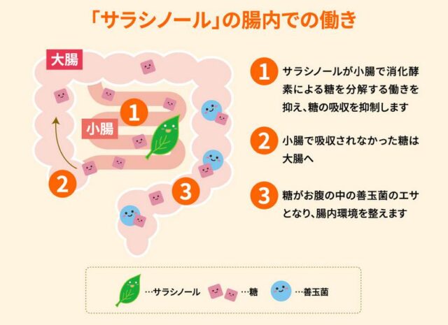 食事とサラシア 販売店 価格 最安値