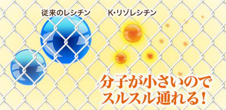 Kリゾレシチン