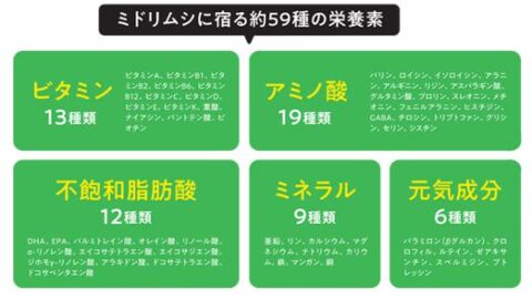 石垣島産ユーグレナ