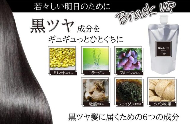 カイセイ堂 ブラックアップ 特徴