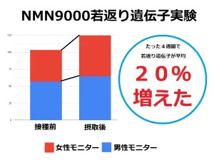 ヒト臨床試験