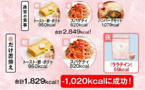 置き換えダイエット