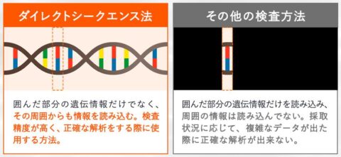 ダイレクトシークエンス法