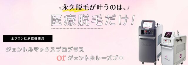 メディカルエピレーションクリニック 医療脱毛 特徴