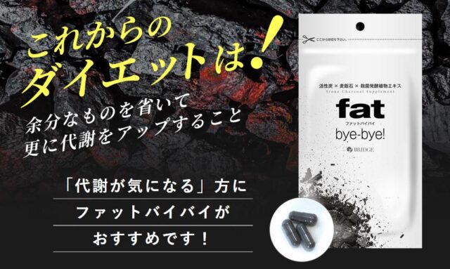 ファットバイバイ fat bye-bye！ 販売店 価格 最安値