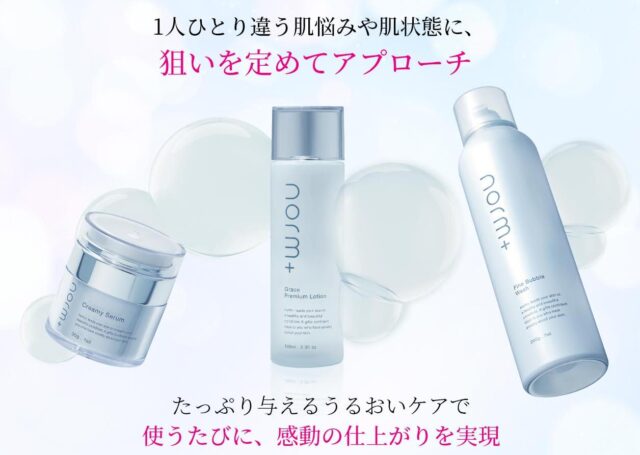 norm+ ノームプラス 販売店 価格 最安値