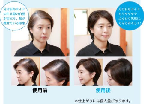 染毛力