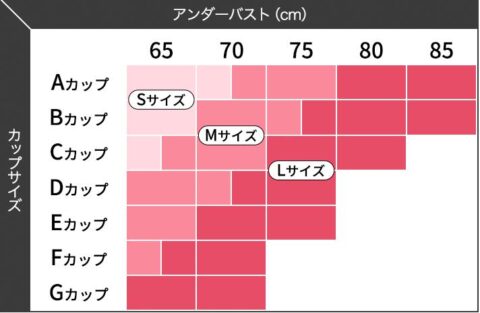 サイズ