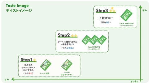 ラインアップ