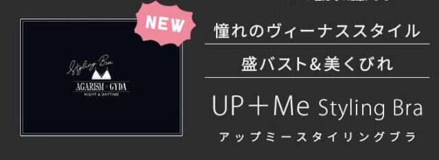 アップミースタイリングブラ Up+Me StylingBra 特徴