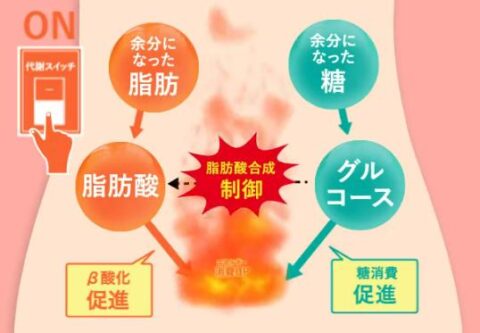 機能性表示食品