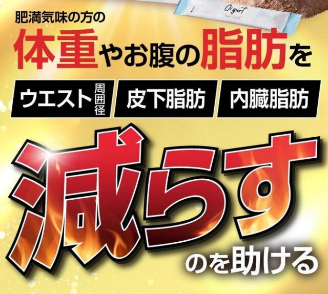オイグルト 販売店 価格 最安値