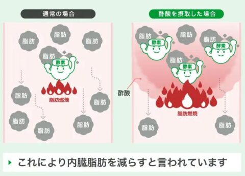 機能性表示食品