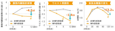 研究レビュー
