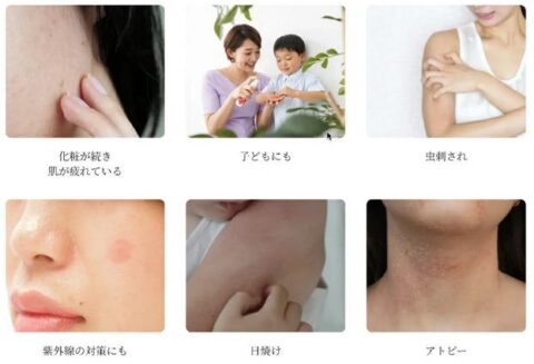 使い方