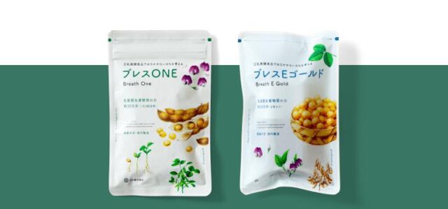 豆乳発酵食品 Breath ブレス 販売店 価格 最安値