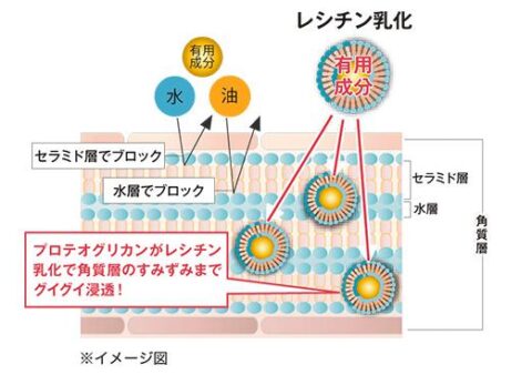 レシチン 乳化